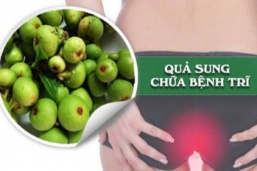 Thuốc Trị Bệnh Trĩ An Toàn Tại Nhà