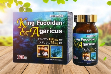 King Fucoidan – Phòng Ngừa Và Điều Trị Ung Thư