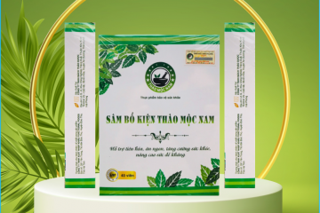Sâm Bổ Kiện Thảo Mộc Nam – Sản Phẩm Dành Cho Người Gầy