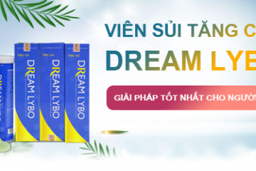 Dream Lybo – Viên Sủi Tăng Cân