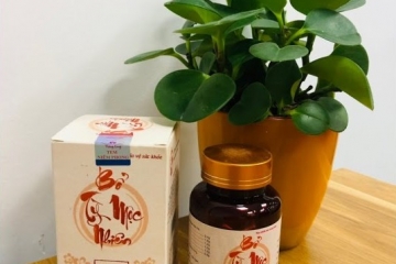 Bổ Tỳ Mộc Nhiên – Hỗ Trợ Tăng Cường Sức Khỏe