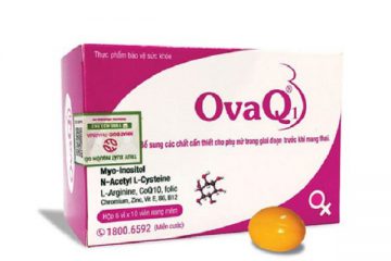 Tìm hiểu về thuốc bổ trứng Ovaq1 giúp tăng thụ thai
