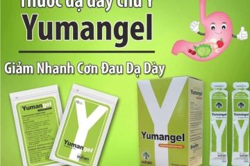 THUỐC TRỊ ĐAU DẠ DÀY CHỮ Y – YUMANGEL